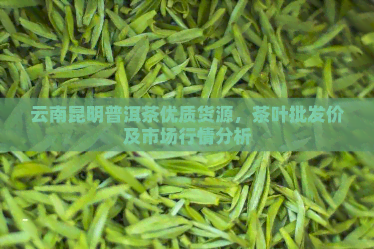 云南昆明普洱茶优质货源，茶叶批发价及市场行情分析