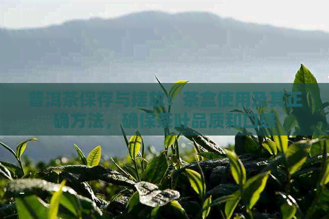 普洱茶保存与摆放：茶盒使用及其正确方法，确保茶叶品质和口感