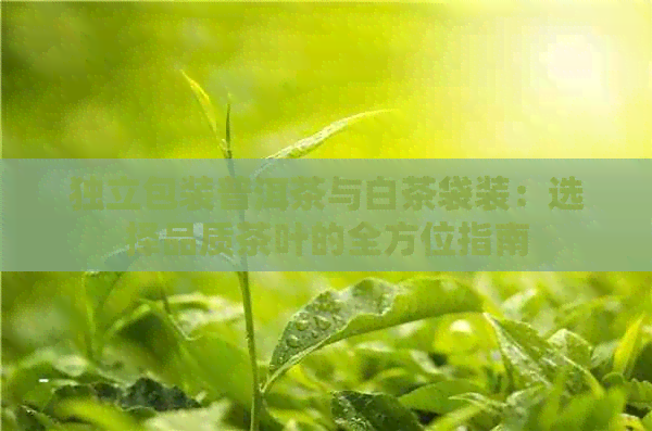 独立包装普洱茶与白茶袋装：选择品质茶叶的全方位指南