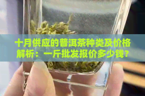 十月供应的普洱茶种类及价格解析：一斤批发报价多少钱？