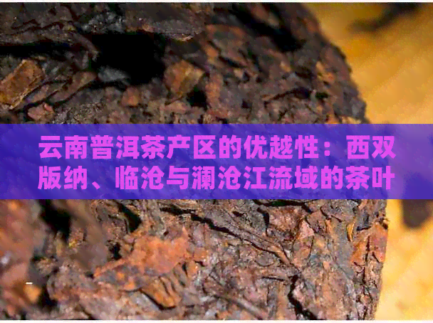 云南普洱茶产区的优越性：西双版纳、临沧与澜沧江流域的茶叶品质与价格对比