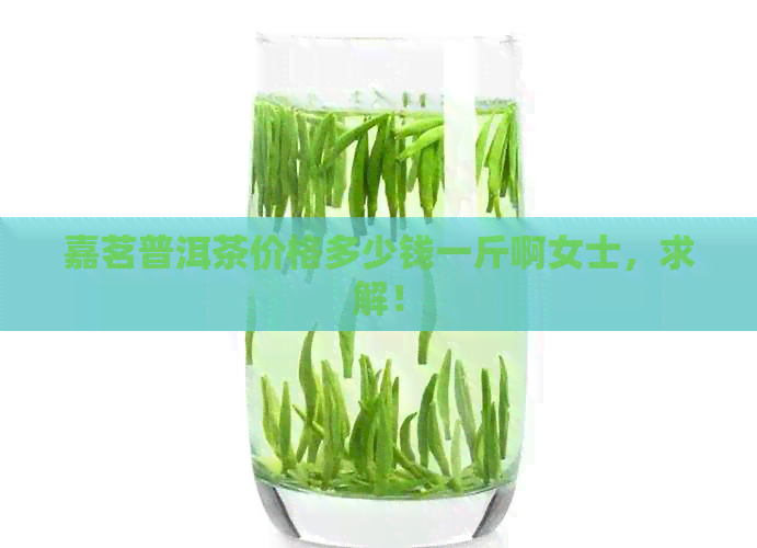 嘉茗普洱茶价格多少钱一斤啊女士，求解！