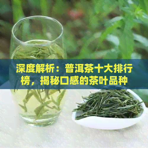 深度解析：普洱茶十大排行榜，揭秘口感的茶叶品种