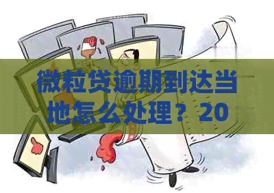 微粒贷逾期到达当地怎么处理？2020年最全逾期处理方案！