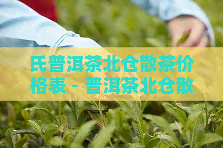 氏普洱茶北仓散茶价格表 - 普洱茶北仓散茶价格表