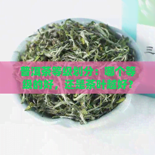 普洱茶等级划分：哪个等级的好，还是茶叶越好？