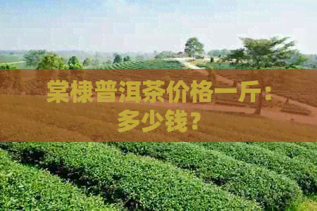 棠棣普洱茶价格一斤：多少钱？