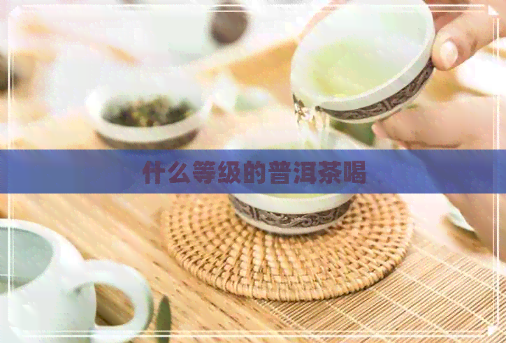 什么等级的普洱茶喝