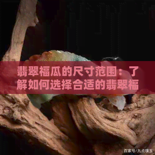 翡翠福瓜的尺寸范围：了解如何选择合适的翡翠福瓜尺寸