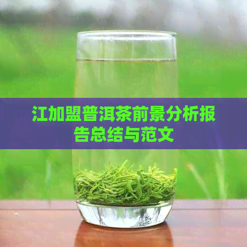 江加盟普洱茶前景分析报告总结与范文