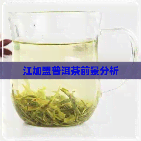 江加盟普洱茶前景分析