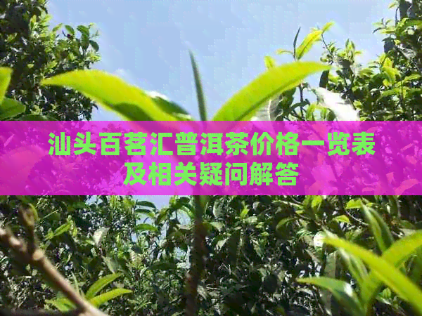 汕头百茗汇普洱茶价格一览表及相关疑问解答