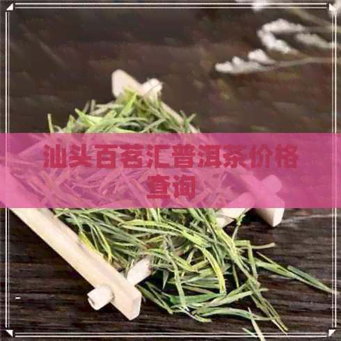 汕头百茗汇普洱茶价格查询