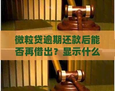 微粒贷逾期还款后能否再借出？显示什么？