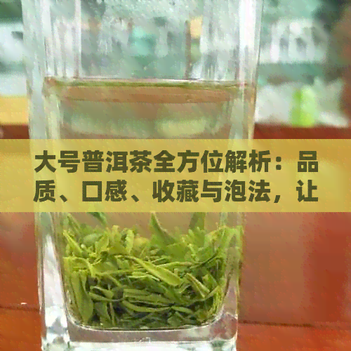 大号普洱茶全方位解析：品质、口感、收藏与泡法，让你全面了解这款茶叶