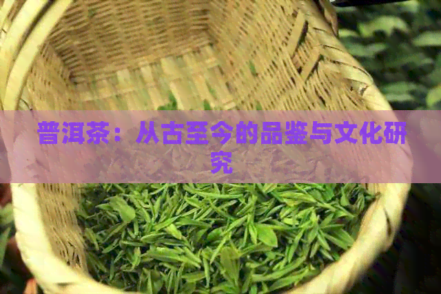 普洱茶：从古至今的品鉴与文化研究