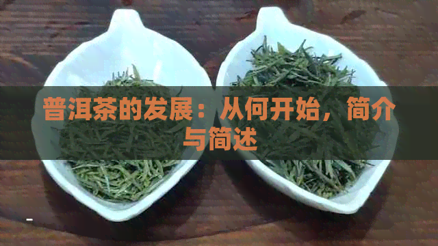 普洱茶的发展：从何开始，简介与简述