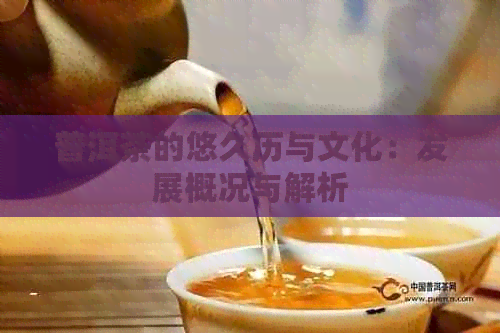 普洱茶的悠久历与文化：发展概况与解析