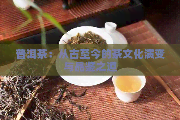 普洱茶：从古至今的茶文化演变与品鉴之道