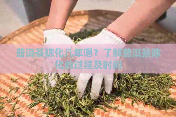 普洱茶陈化几年喝？了解普洱茶陈化的过程及时间