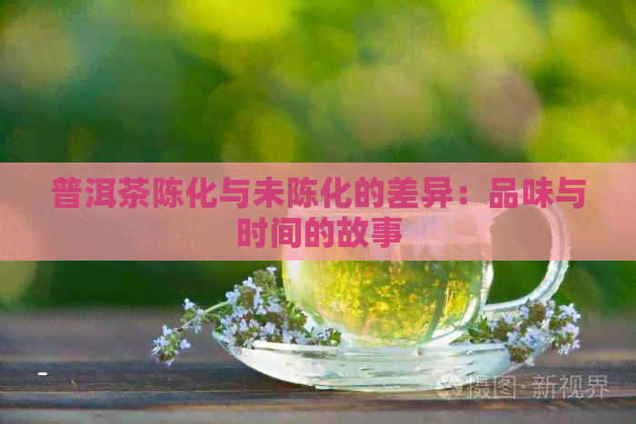 普洱茶陈化与未陈化的差异：品味与时间的故事