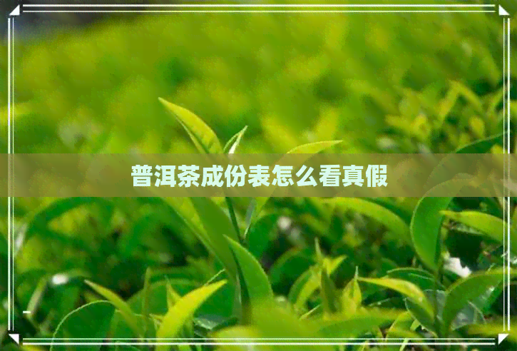 普洱茶成份表怎么看真假