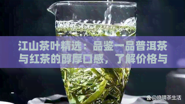 江山茶叶精选：品鉴一品普洱茶与红茶的醇厚口感，了解价格与品质对比