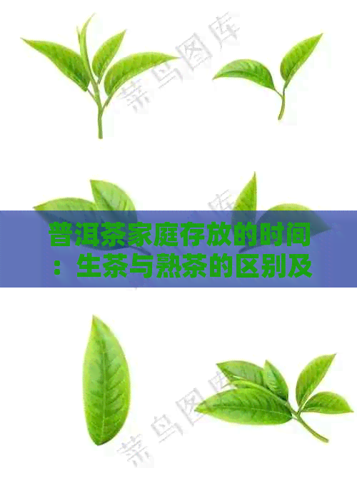 普洱茶家庭存放的时间：生茶与熟茶的区别及其陈化过程