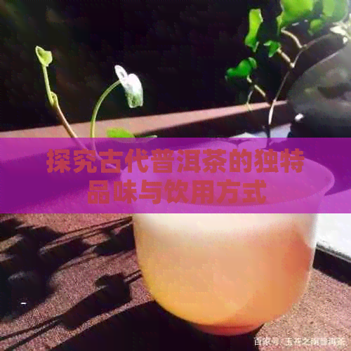 探究古代普洱茶的独特品味与饮用方式