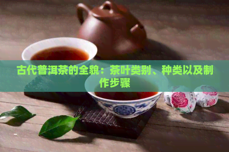 古代普洱茶的全貌：茶叶类别、种类以及制作步骤