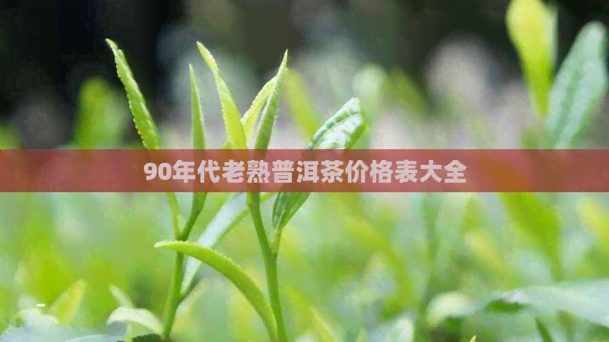 90年代老熟普洱茶价格表大全