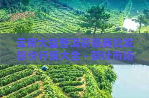 云南大益普洱茶最新批发报价行情大全 - 茶叶市场价格表