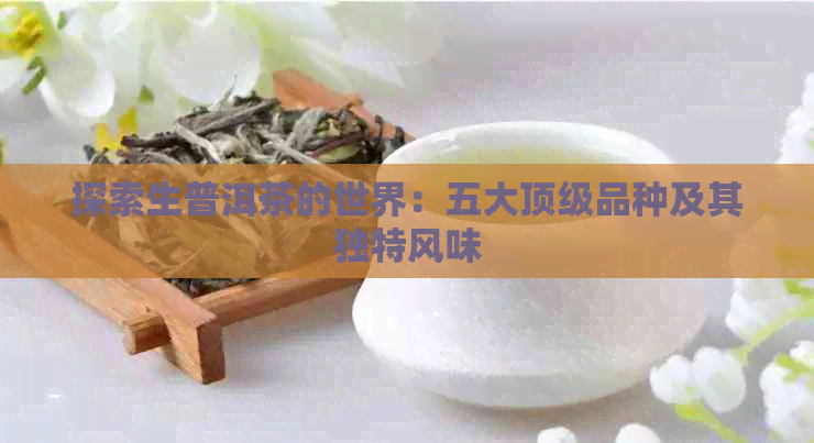 探索生普洱茶的世界：五大顶级品种及其独特风味