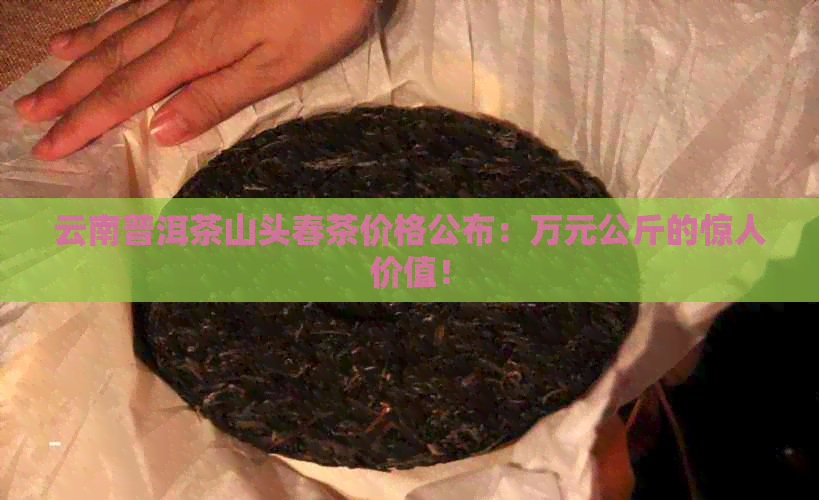 云南普洱茶山头春茶价格公布：万元公斤的惊人价值！