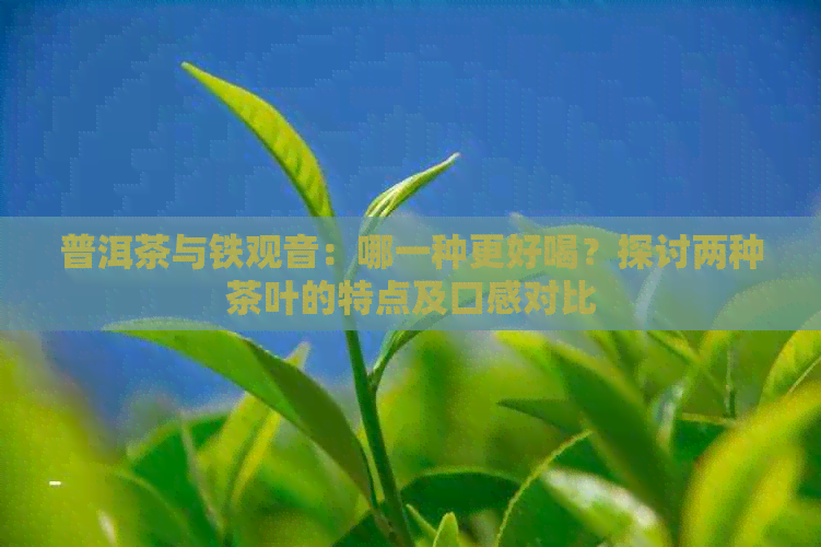 普洱茶与铁观音：哪一种更好喝？探讨两种茶叶的特点及口感对比