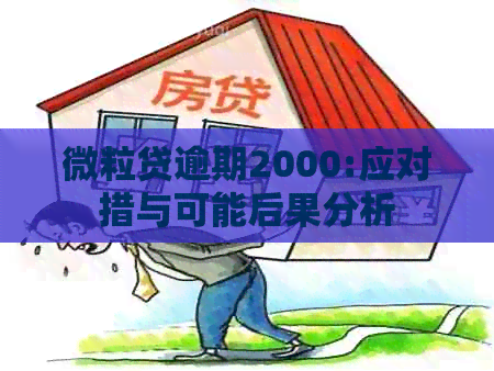 微粒贷逾期2000:应对措与可能后果分析