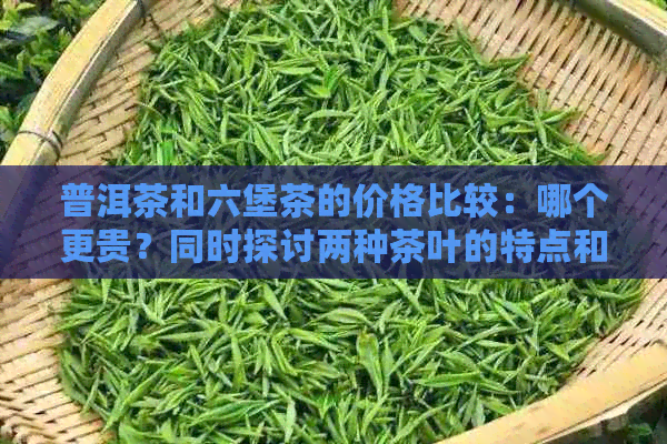 普洱茶和六堡茶的价格比较：哪个更贵？同时探讨两种茶叶的特点和价值