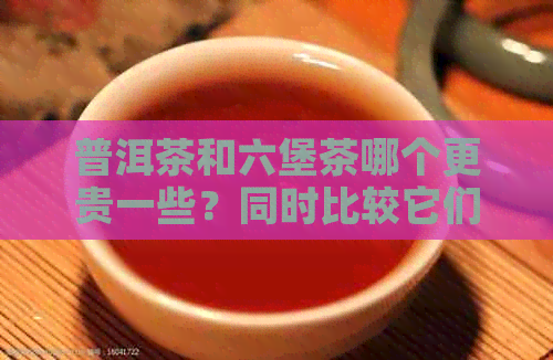 普洱茶和六堡茶哪个更贵一些？同时比较它们的优劣。