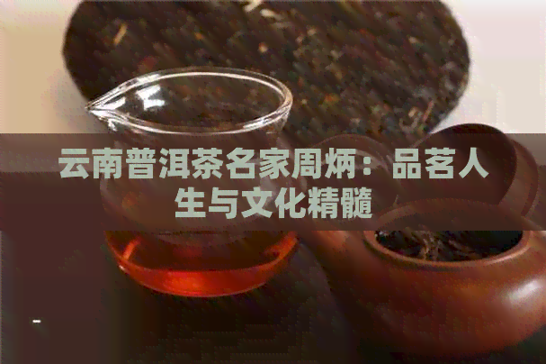 云南普洱茶名家周炳：品茗人生与文化精髓