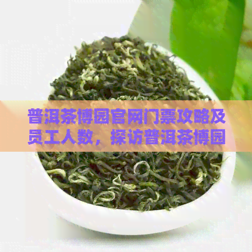 普洱茶博园官网门票攻略及员工人数，探访普洱茶博园的绝佳指南