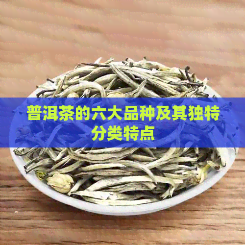 普洱茶的六大品种及其独特分类特点