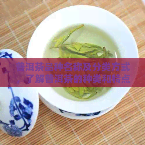 普洱茶品种名称及分类方式，了解普洱茶的种类和特点。