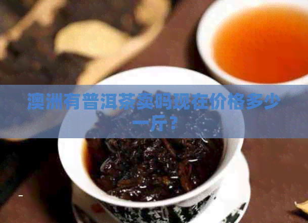 澳洲有普洱茶卖吗现在价格多少一斤？