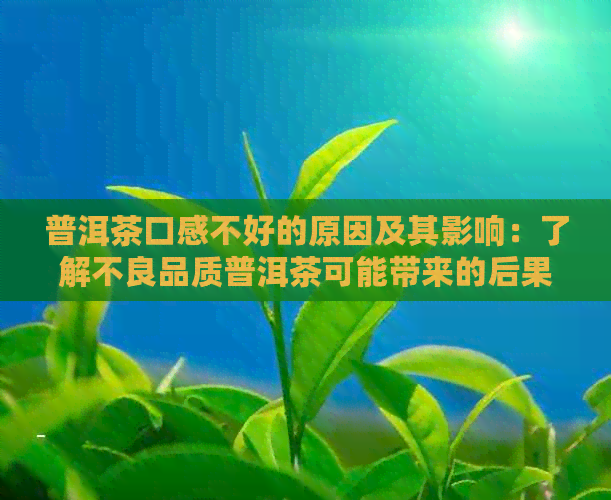 普洱茶口感不好的原因及其影响：了解不良品质普洱茶可能带来的后果