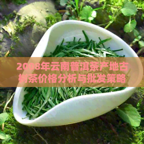 2008年云南普洱茶产地古树茶价格分析与批发策略