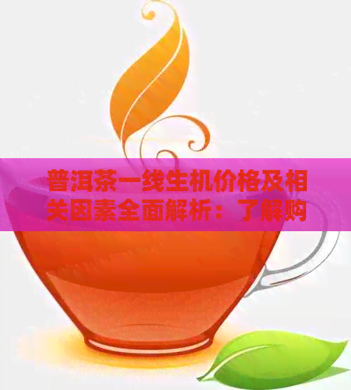 普洱茶一线生机价格及相关因素全面解析：了解购买与市场行情的关键指南