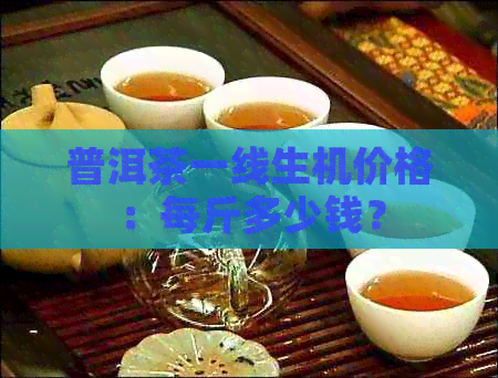 普洱茶一线生机价格：每斤多少钱？