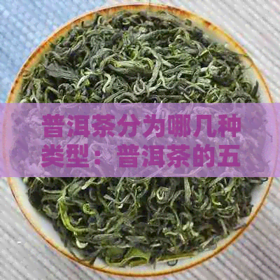 普洱茶分为哪几种类型：普洱茶的五大类与十小类