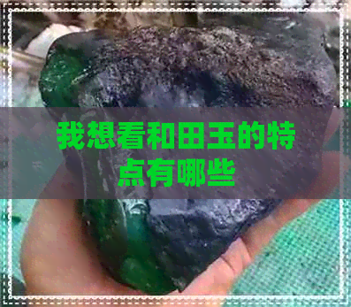 我想看和田玉的特点有哪些