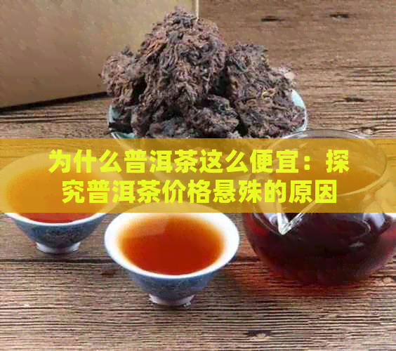 为什么普洱茶这么便宜：探究普洱茶价格悬殊的原因